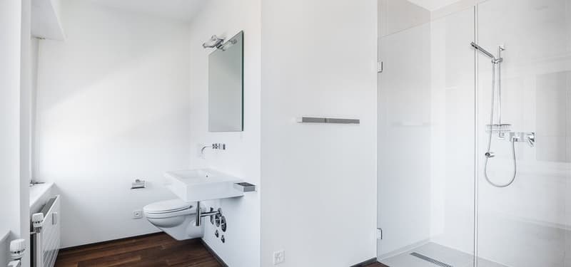 Exklusive Wohnung in der Freie-Strasse (7)