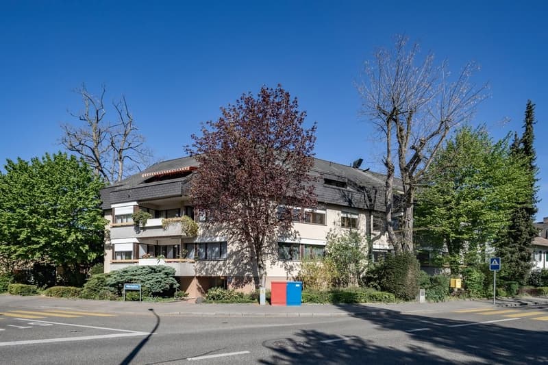 Beliebte Wohnlage in Riehen (11)