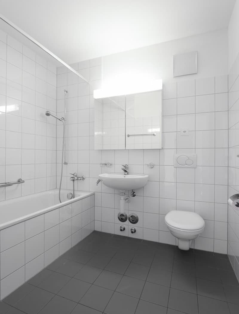 Attraktive 3.5 Zimmer-Attikawohnung mit toller Aussicht (5)