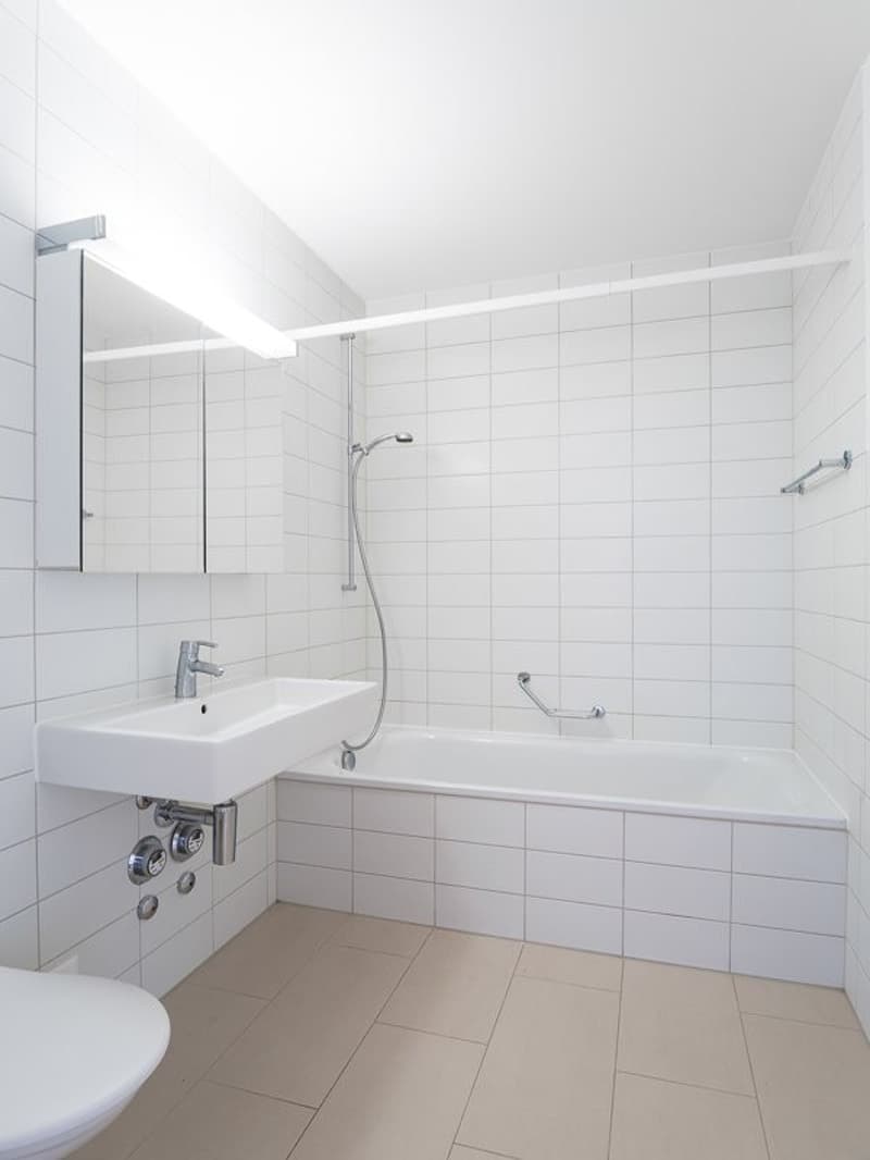 Tolle & Stilvolle Wohnung im Horburgquartier (8)