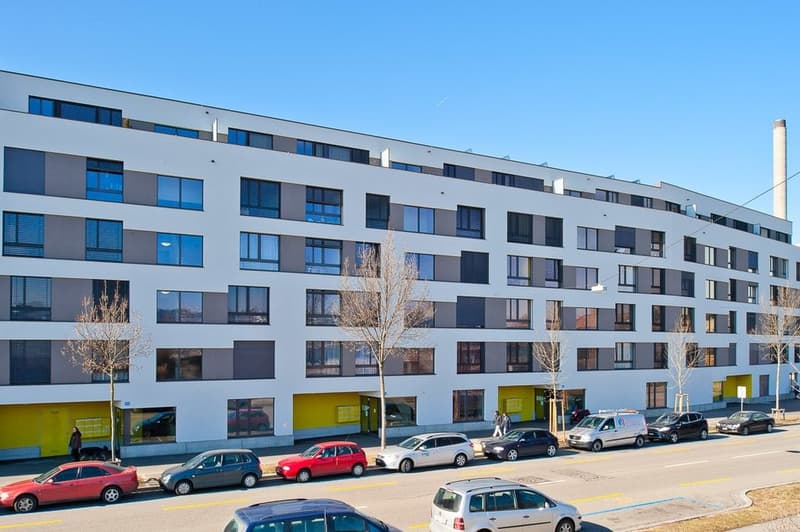 Tolle & Stilvolle Wohnung im Horburgquartier (1)
