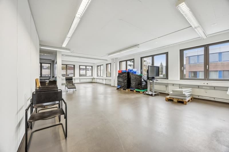 vielseitige 269 m2 Gewerbefläche in Geroldswil (6)