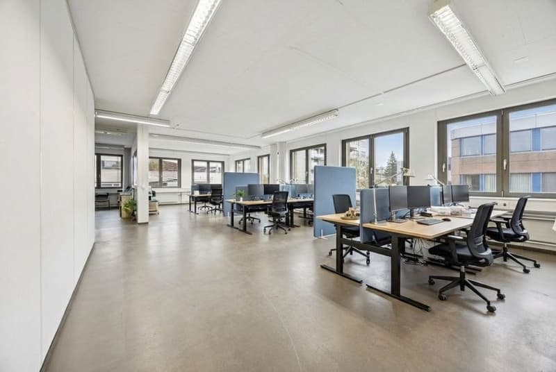 Espace commercial polyvalent de 269 m2 à Geroldswil (2)