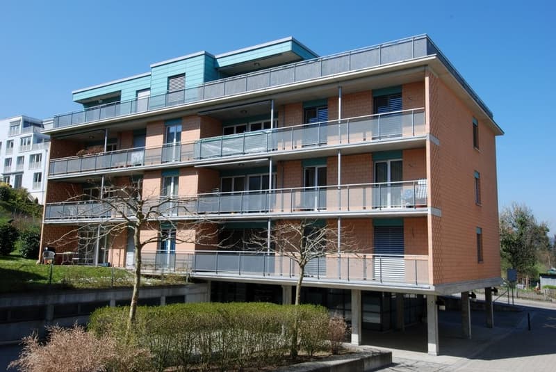Ampio appartamento di 3.5 locali nel centro di Horgen! (2)