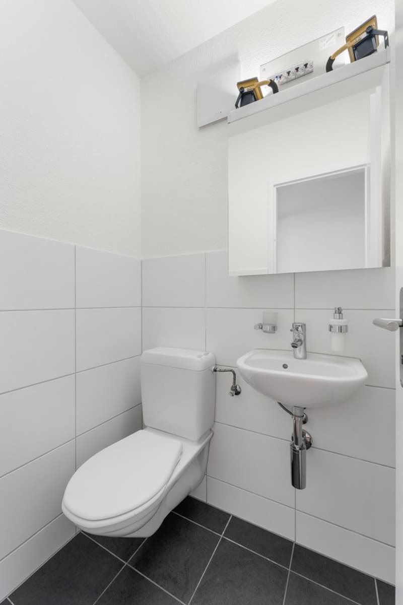 03_Loowiesenstrasse_41_8106_Adlikon_B._Regensdorf_web.jpg