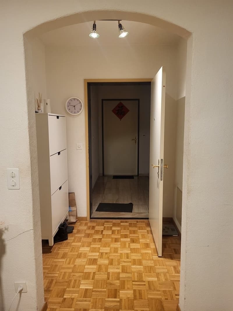 Einangsbereich_Luegislandstrasse.jpg