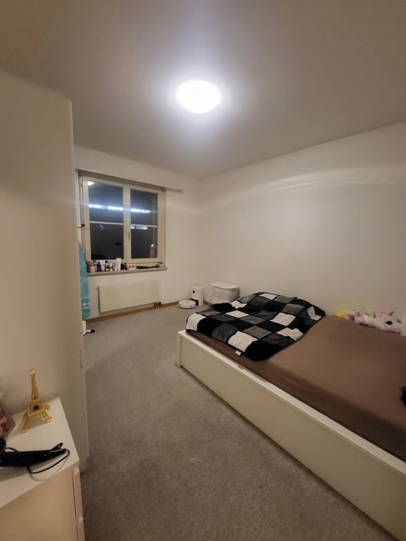 Schlafzimmer_Luegislandstrasse.jpg