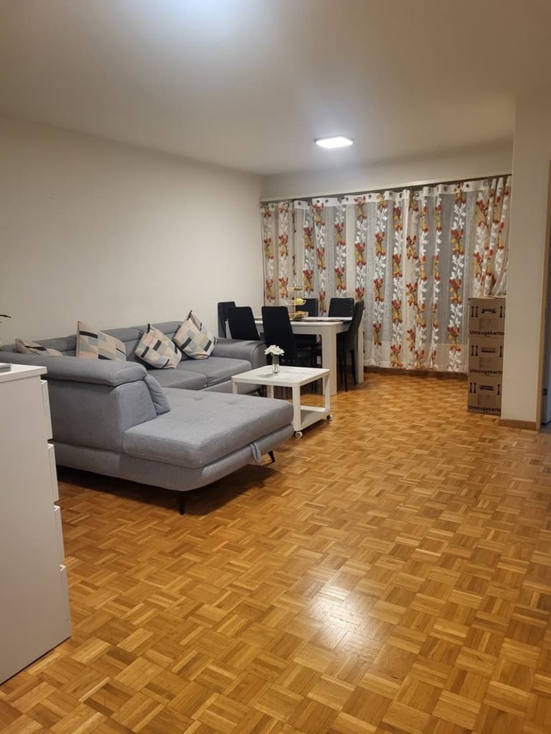 Wohnzimmer_Luegislandstrasse.jpg