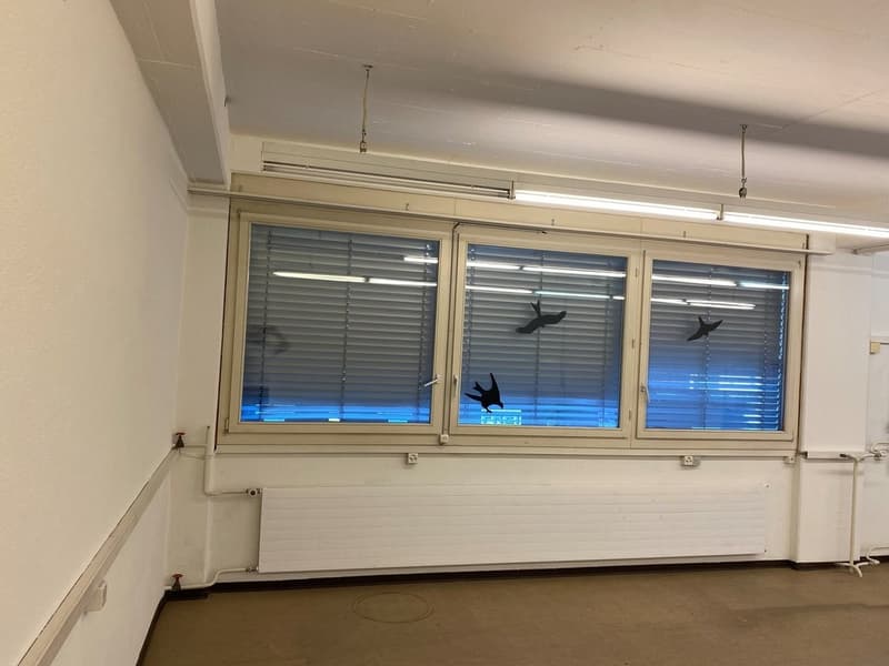 Spazio commerciale di alta qualità in affitto nel centro di Uster! (3)