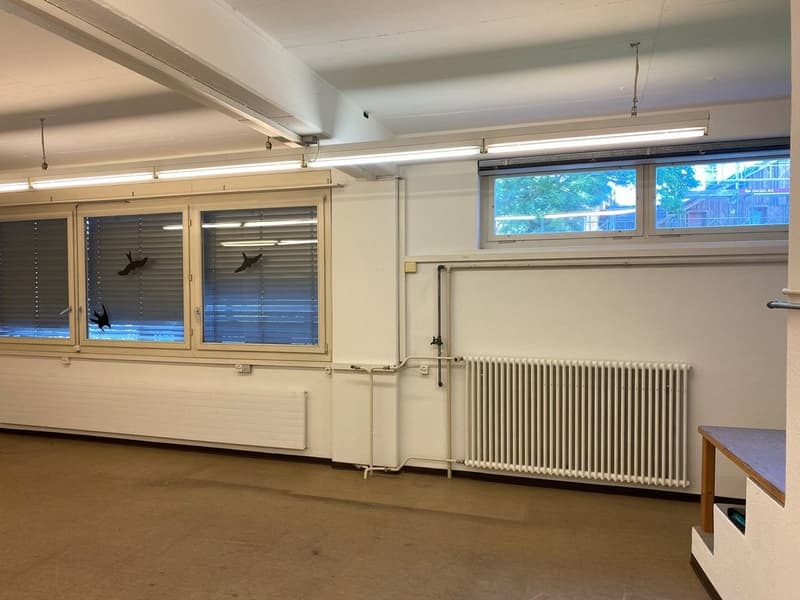 Spazio commerciale di alta qualità in affitto nel centro di Uster! (9)