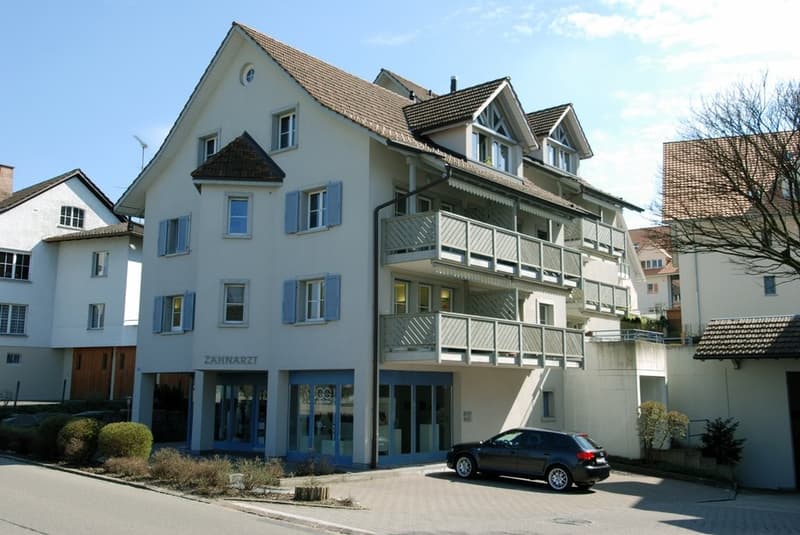 Charming 3.5-room attic apartment with fireplace in Bonstetten (1)