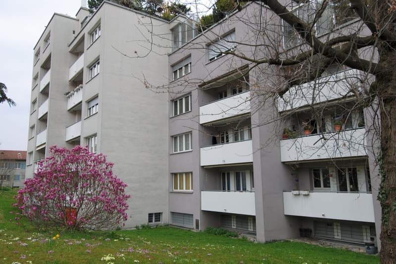 At the foot of Üetliberg, near Albisgüetli (2)