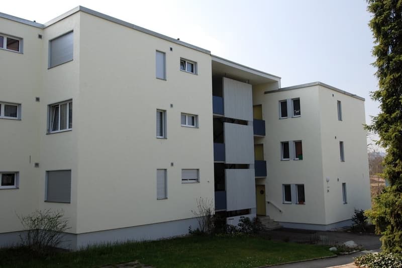 Helle Wohnung mit grossem Balkon (1)