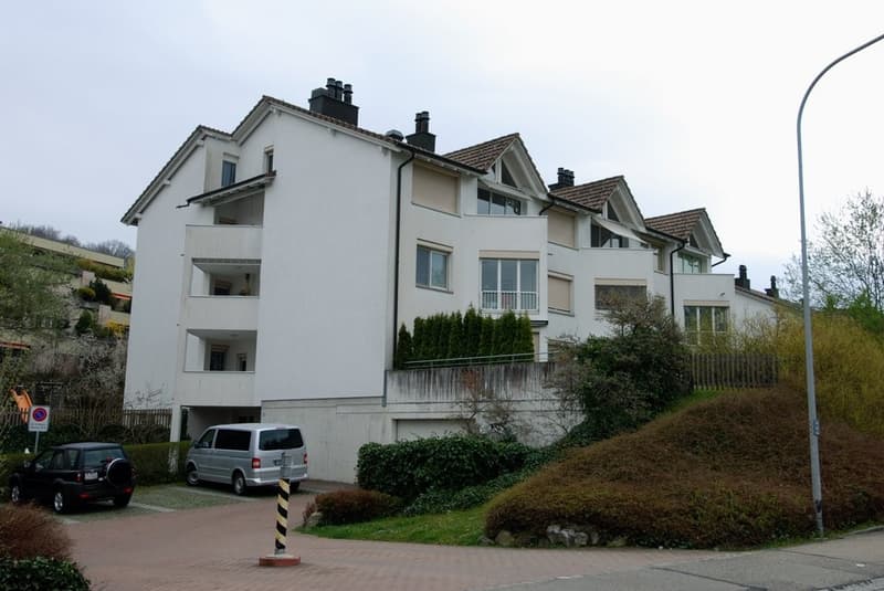 Wintergarten, Balkon, Cheminée, Gartensitzplatz und mehr! (11)