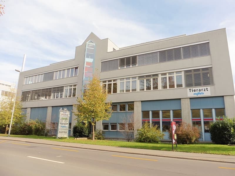 Attraktive Räumlichkeiten in guter Lage - Befristet- (1)