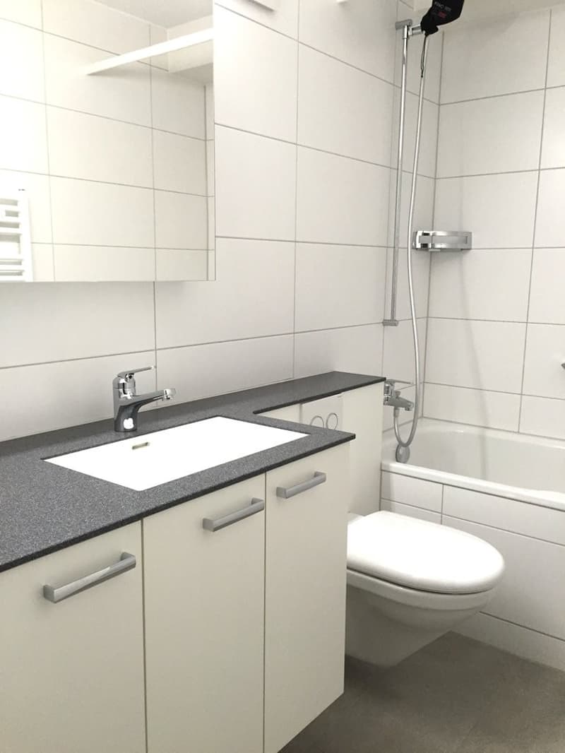 Appartements attractifs de 1,5 pièces à louer à Zürich Altstetten (2)