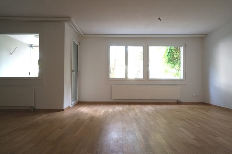 Appartements attractifs de 1,5 pièces à louer à Zürich Altstetten (3)