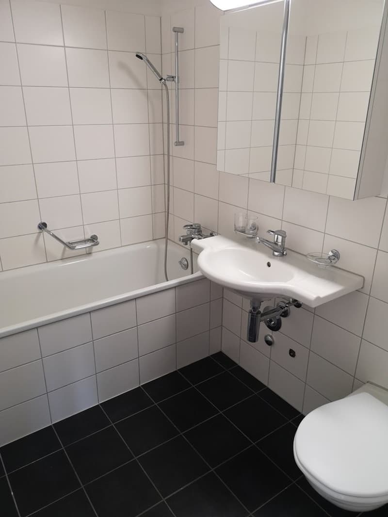 Grosszügige Wohnung mit Gartensitzplatz und Balkon zu vermieten (3)