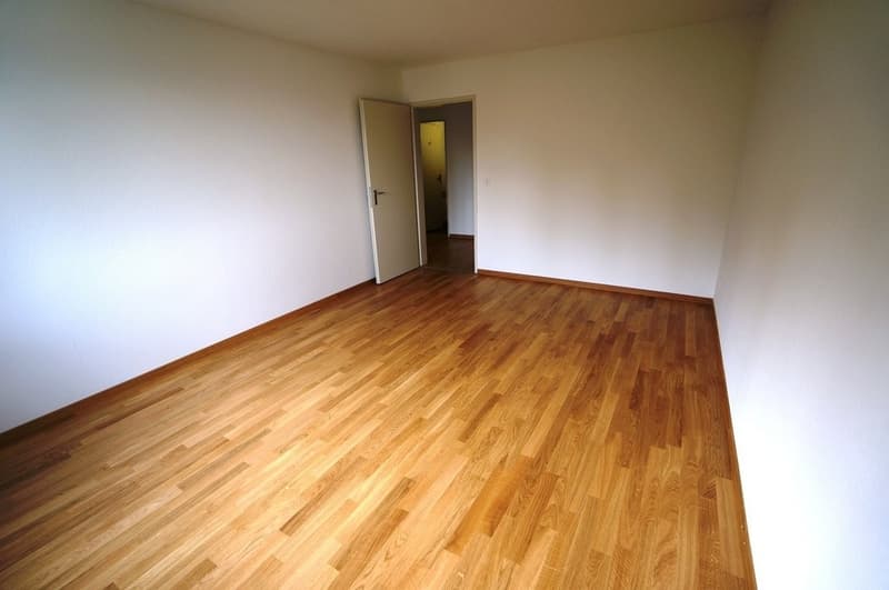 Grosszügige Wohnung im Grünen! (3)