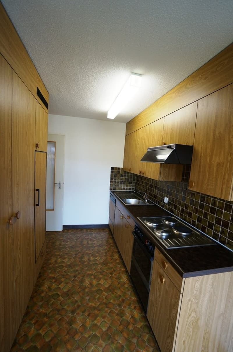 Grosszügige Wohnung im Grünen! (7)