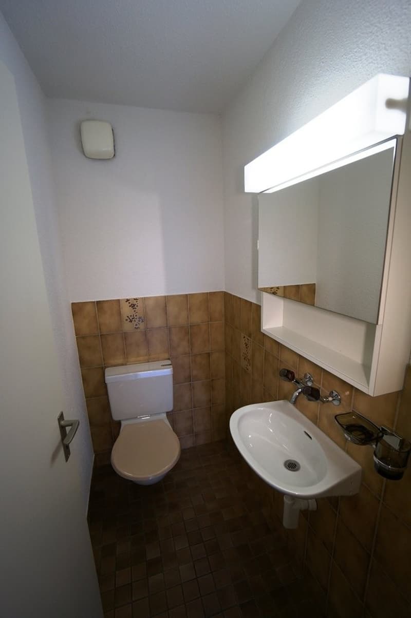 Grosszügige Wohnung im Grünen! (6)