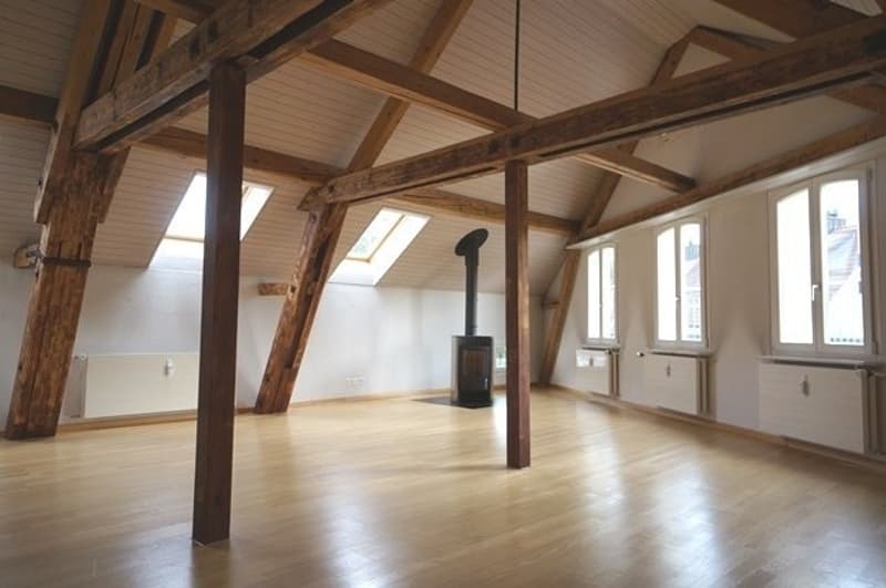 Traumwohnung im Zentrum von Uster! (3)