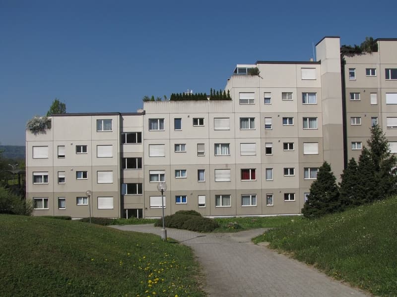 5.0 Zimmer-Attikawohnung mit grosser Terrasse! (1)