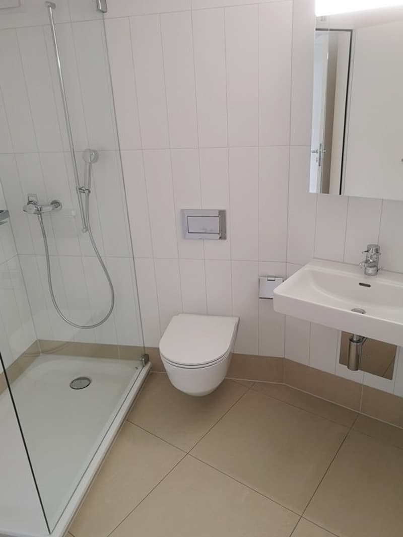 Wunderschöne 3.5 Zimmer-Wohnung in Thalwil (8)