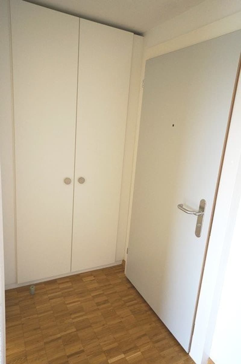 Helle, moderne 1-Zimmer-Wohnung in Adliswil (6)