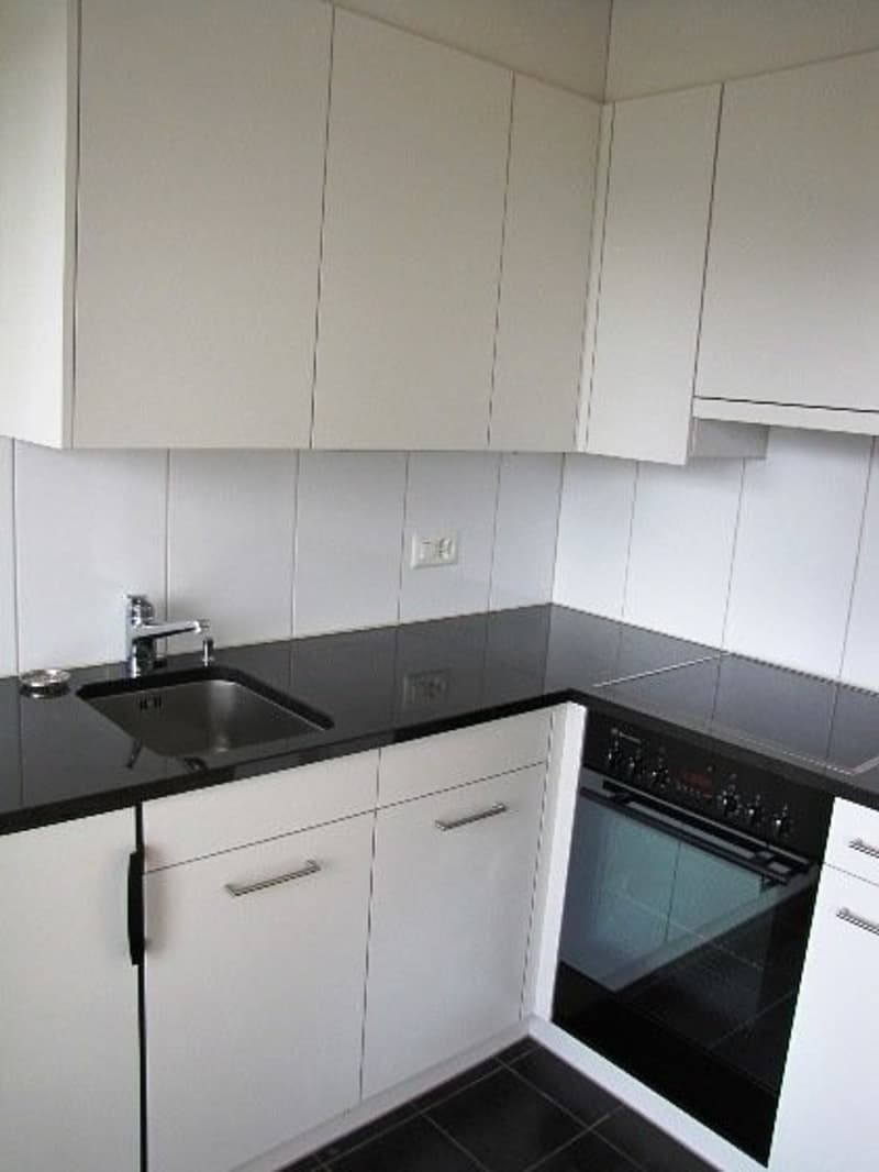 Helle, moderne 1-Zimmer-Wohnung in Adliswil (4)