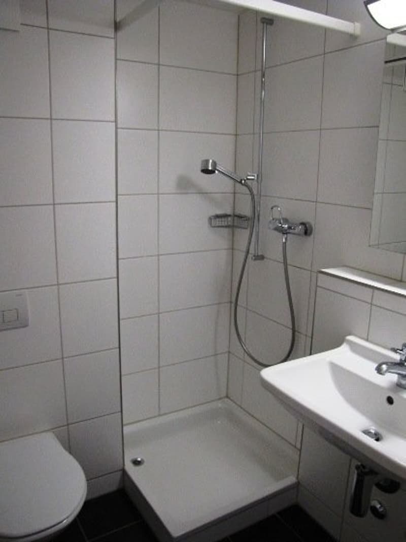 Helle, moderne 1-Zimmer-Wohnung in Adliswil (3)