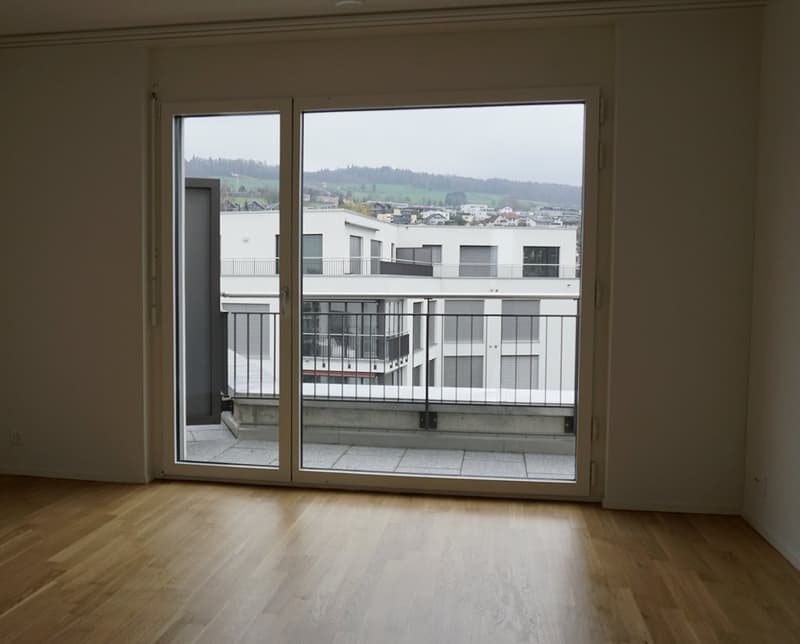 Moderne 3.5-Zimmer-Attikawohnung zu vermieten! (5)