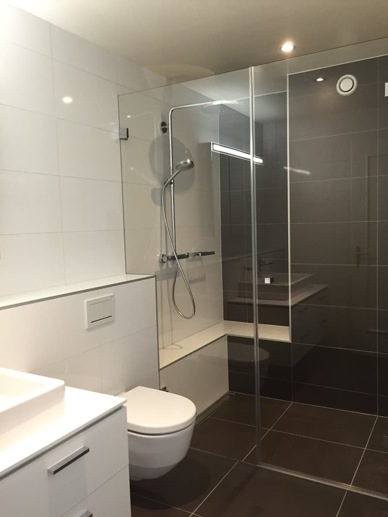 Superbe appartement avec vue sur le lac (5)