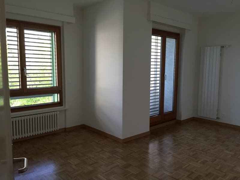 Superbe appartement avec vue sur le lac (8)
