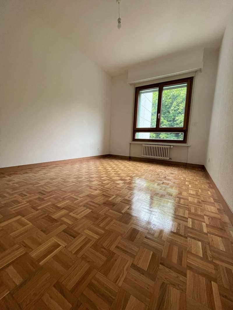 Superbo appartamento di 6 locali con vista panoramica sul lago (6)