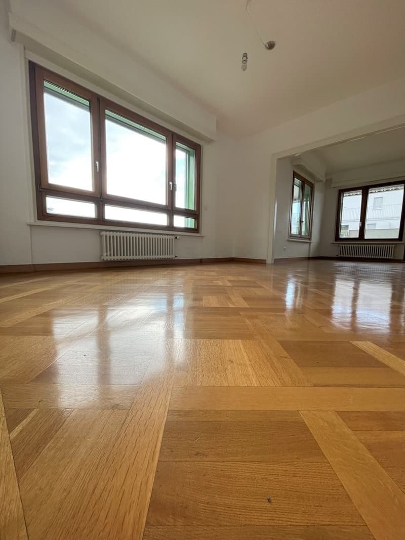 Superbo appartamento di 6 locali con vista panoramica sul lago (8)