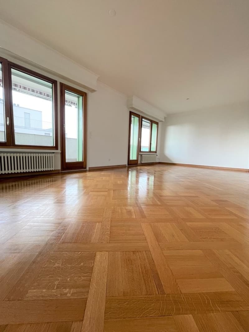 Superbo appartamento di 6 locali con vista panoramica sul lago (7)