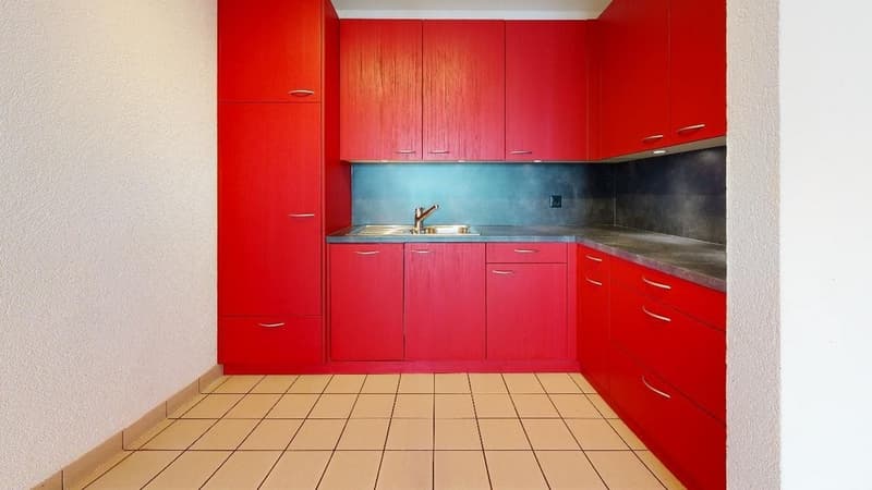9100010600-Avenue-Du-Leman-30-1005-Lausanne-Kitchen.jpg