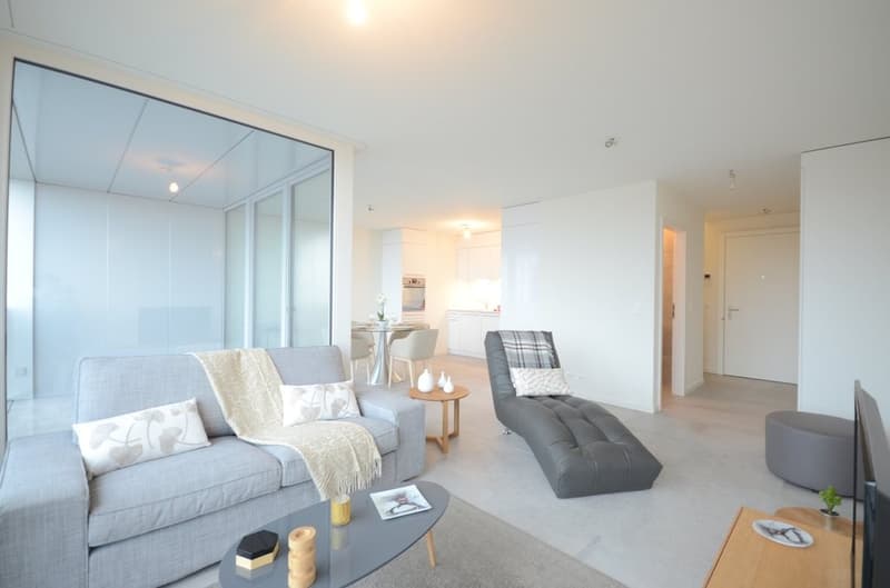 Magnificent duplex with lake view (4)