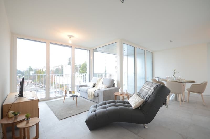 Magnificent duplex with lake view (2)