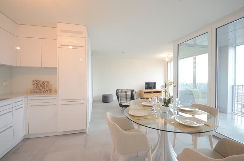 Magnificent duplex with lake view (5)