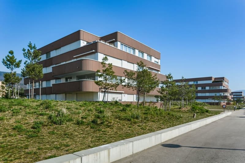 Bell'appartamento di 3.5 locali in un quartiere residenziale (8)