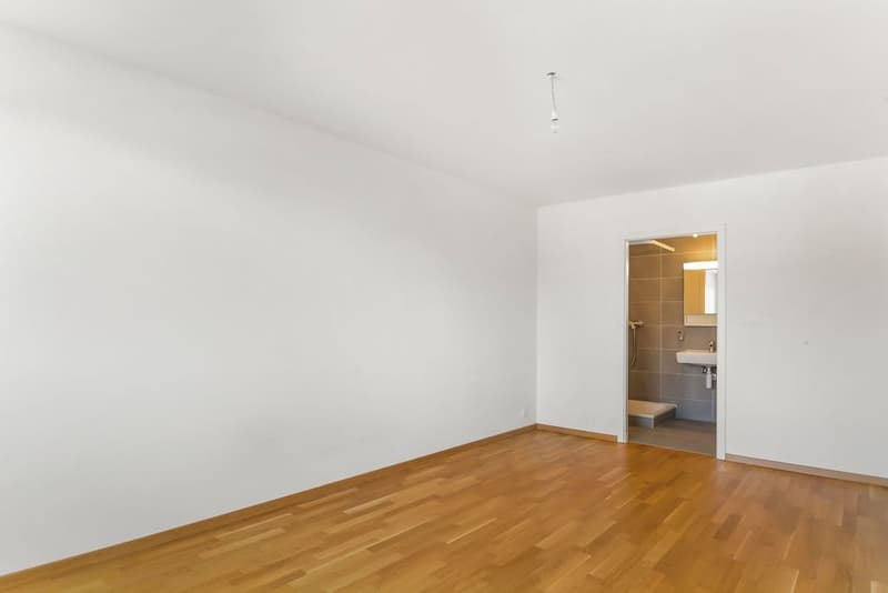 Bell'appartamento di 3.5 locali in un quartiere residenziale (4)