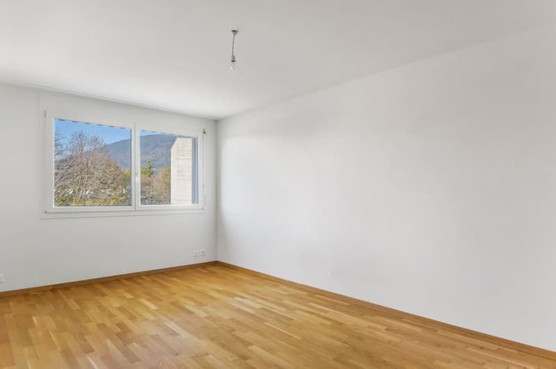 Bell'appartamento di 3.5 locali in un quartiere residenziale (5)