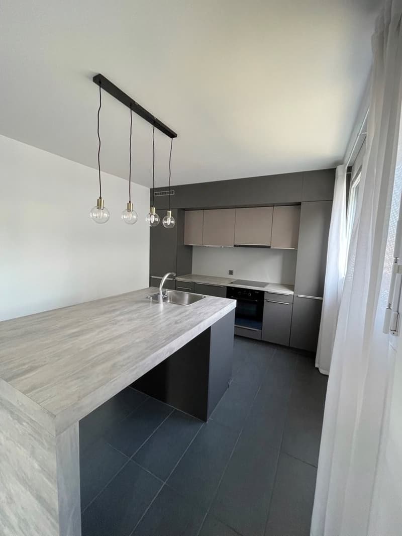Schönes Dachgeschoss-Duplex mit Seeblick! (2)