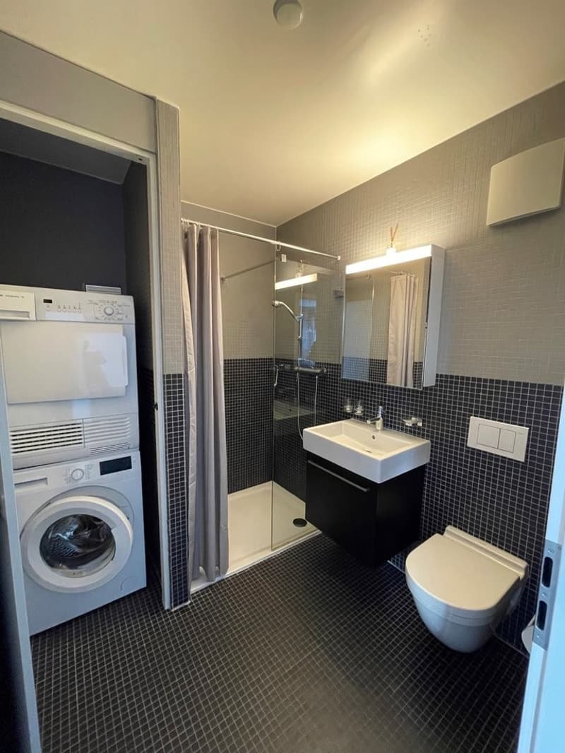 Schönes Dachgeschoss-Duplex mit Seeblick! (9)