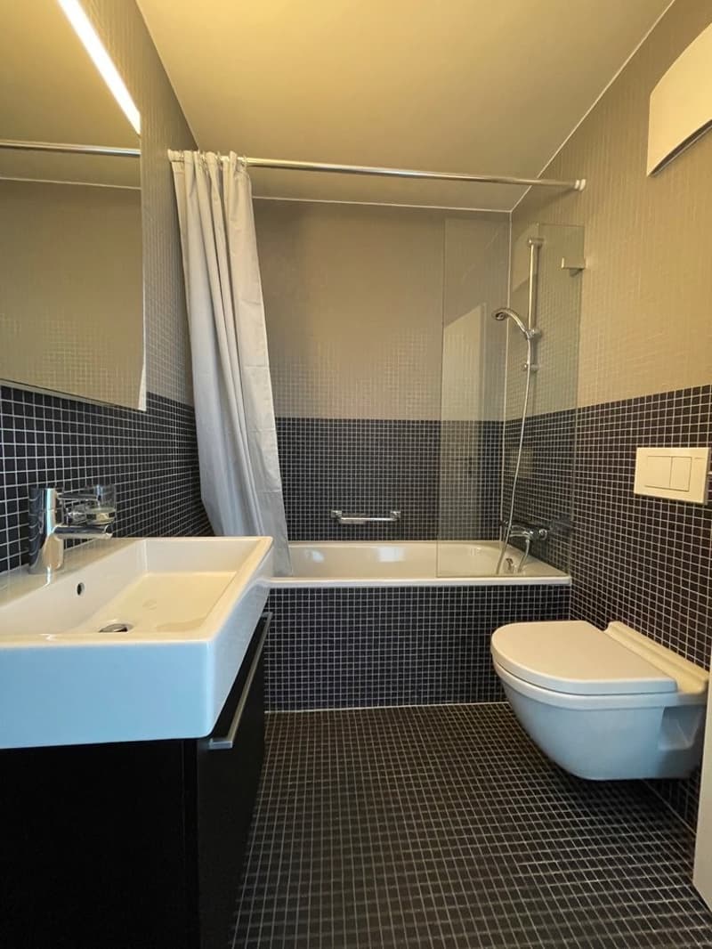 Schönes Dachgeschoss-Duplex mit Seeblick! (8)