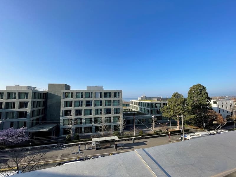 Schönes Dachgeschoss-Duplex mit Seeblick! (1)