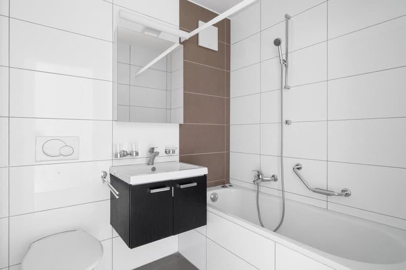 Beautiful apartment close to shops and public transportation (3)