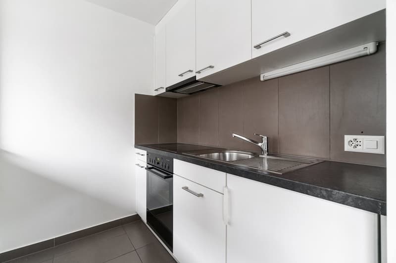 Beautiful apartment close to shops and public transportation (2)